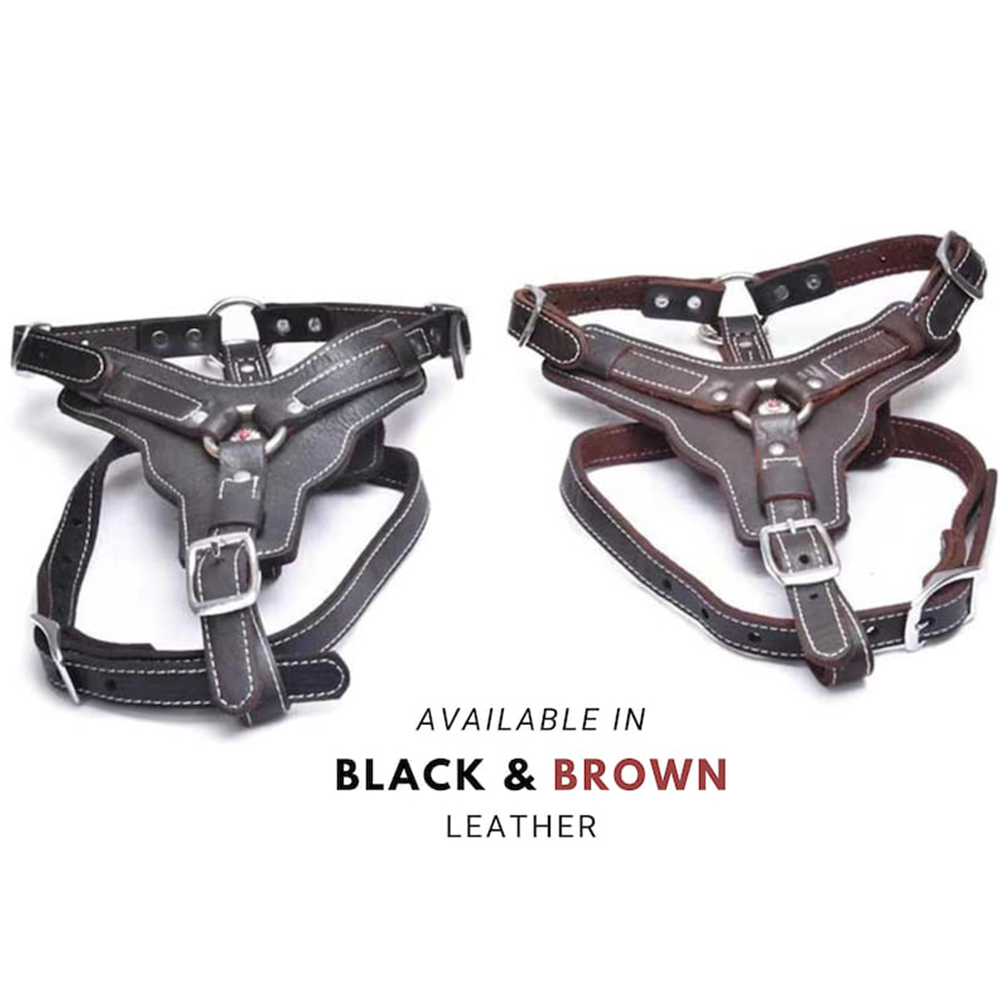 Real Leather Harness with Handle