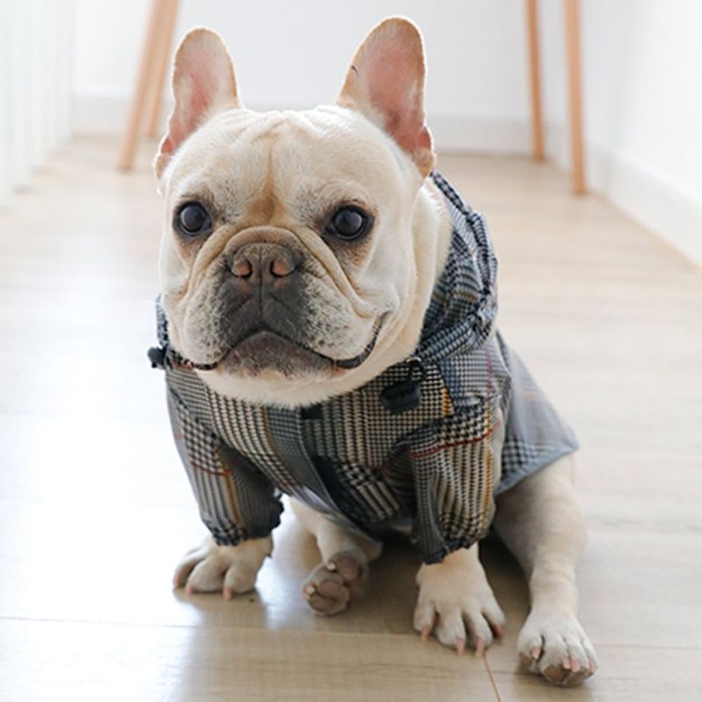 Waterproof Tweed Raincoat