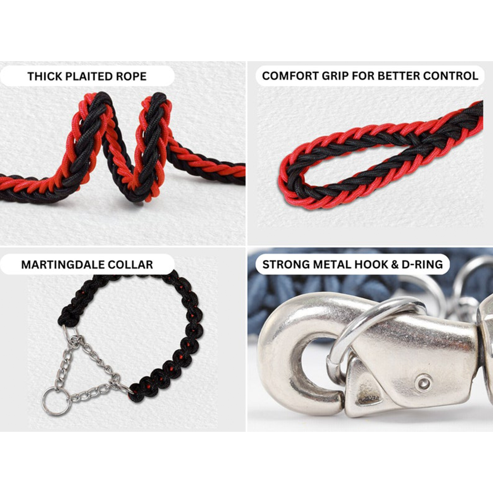 Martingale Dog Collar and Lead Set