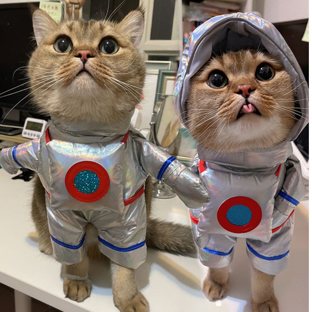 Disfraz de astronauta
