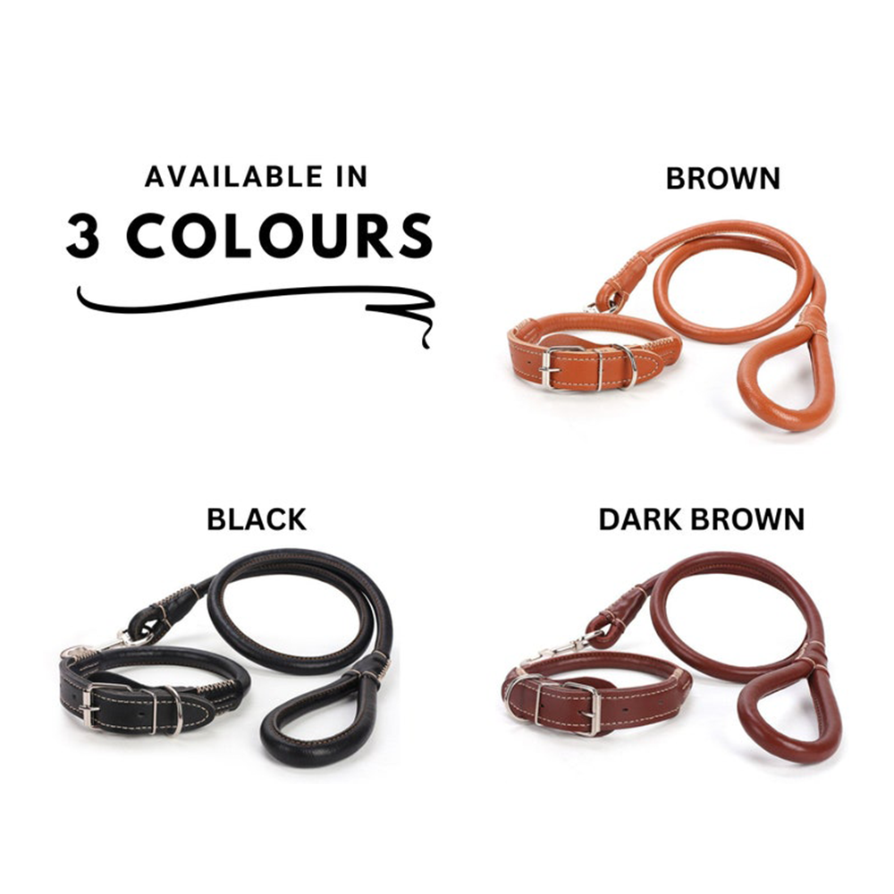Thick Leather Dog Collar and Lead Set
