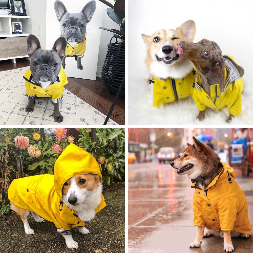 Stylish Yellow Raincoat