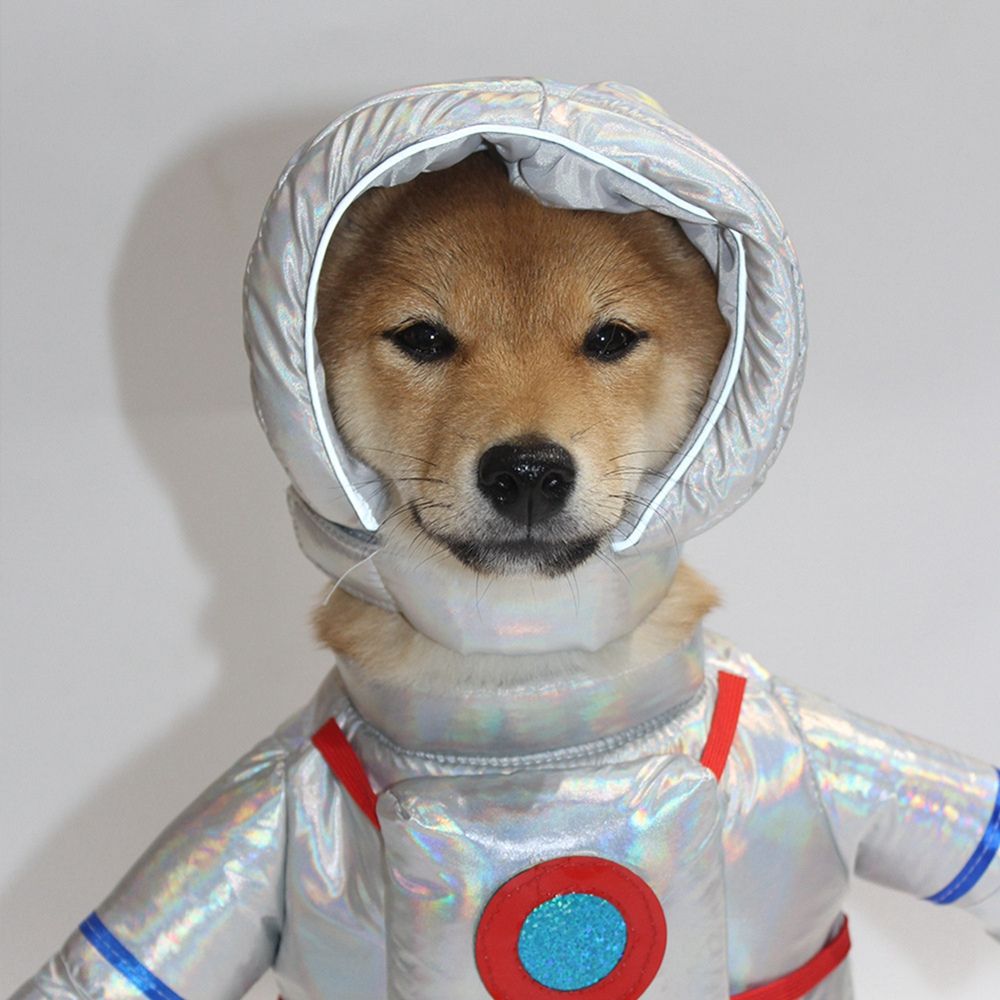 Disfraz de astronauta