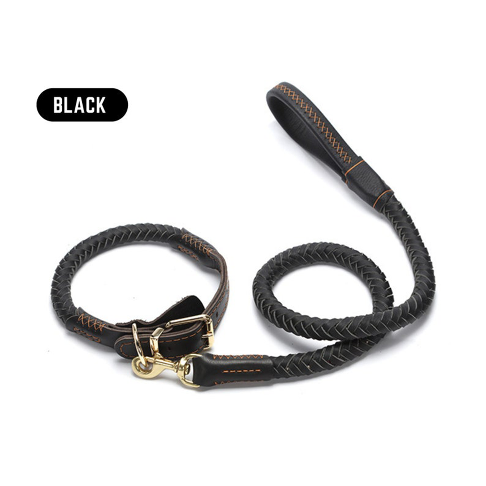 Conjunto de collar y correa para perro hecho a mano