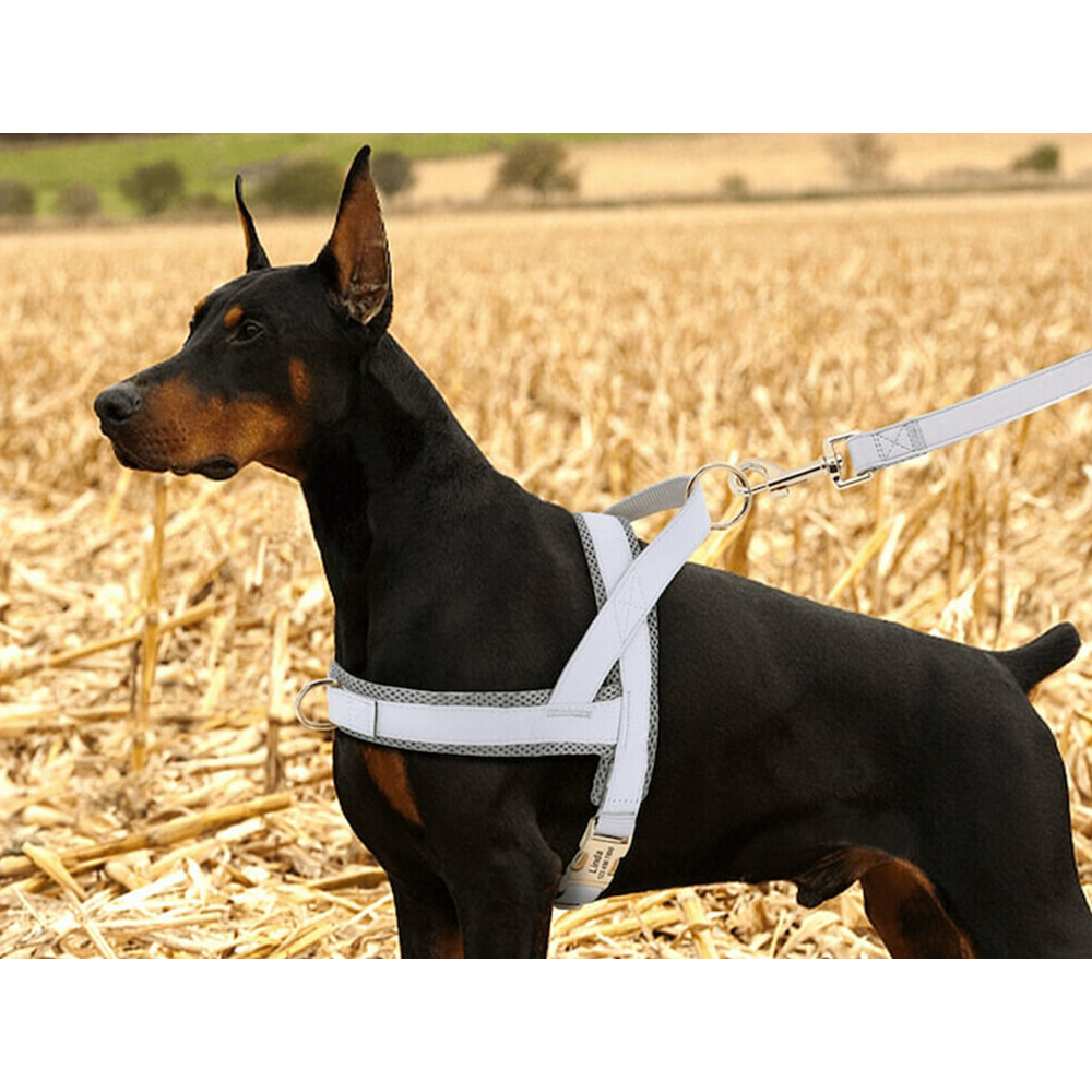 Arnés de cuero para perros personalizado