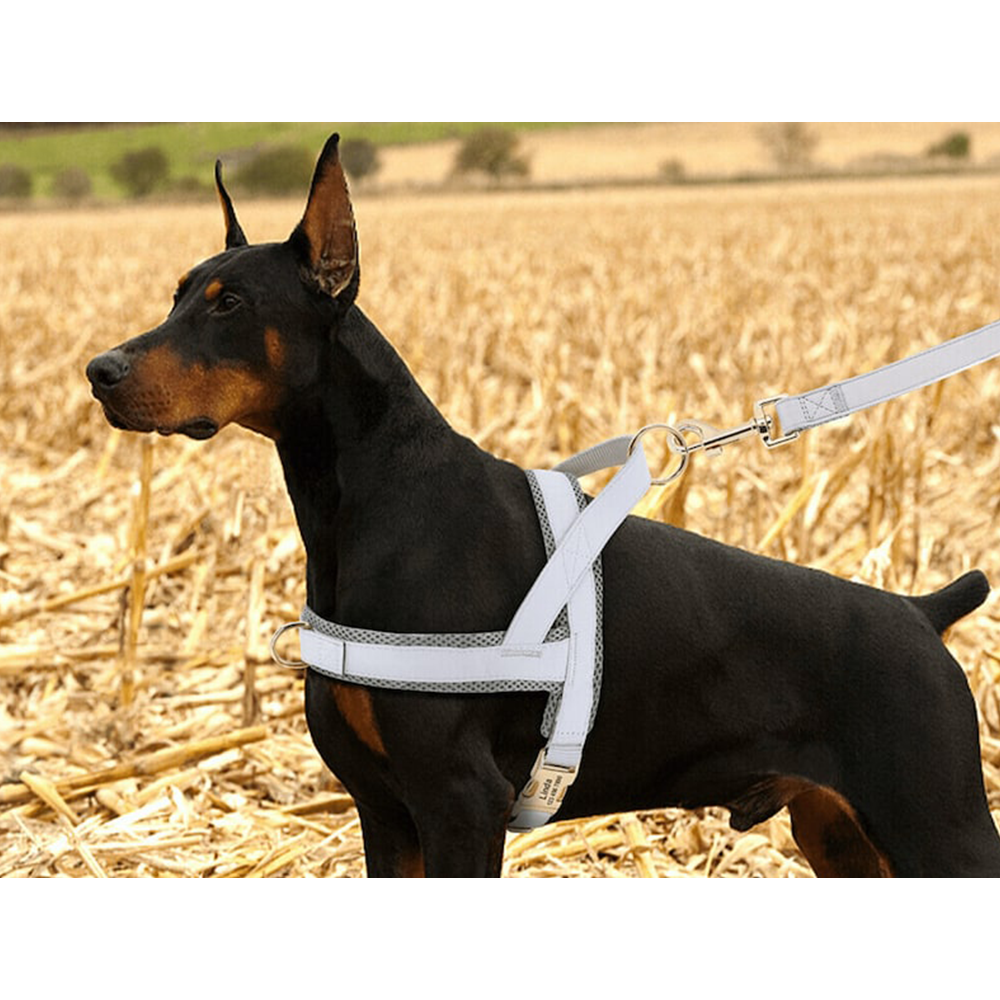 Custom Dog Leather Harness