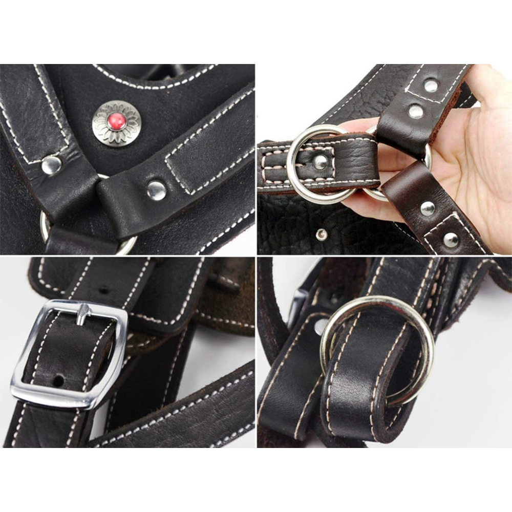 Real Leather Harness with Handle