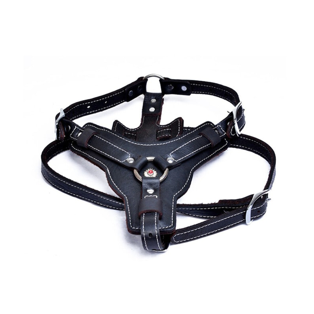 Real Leather Harness with Handle