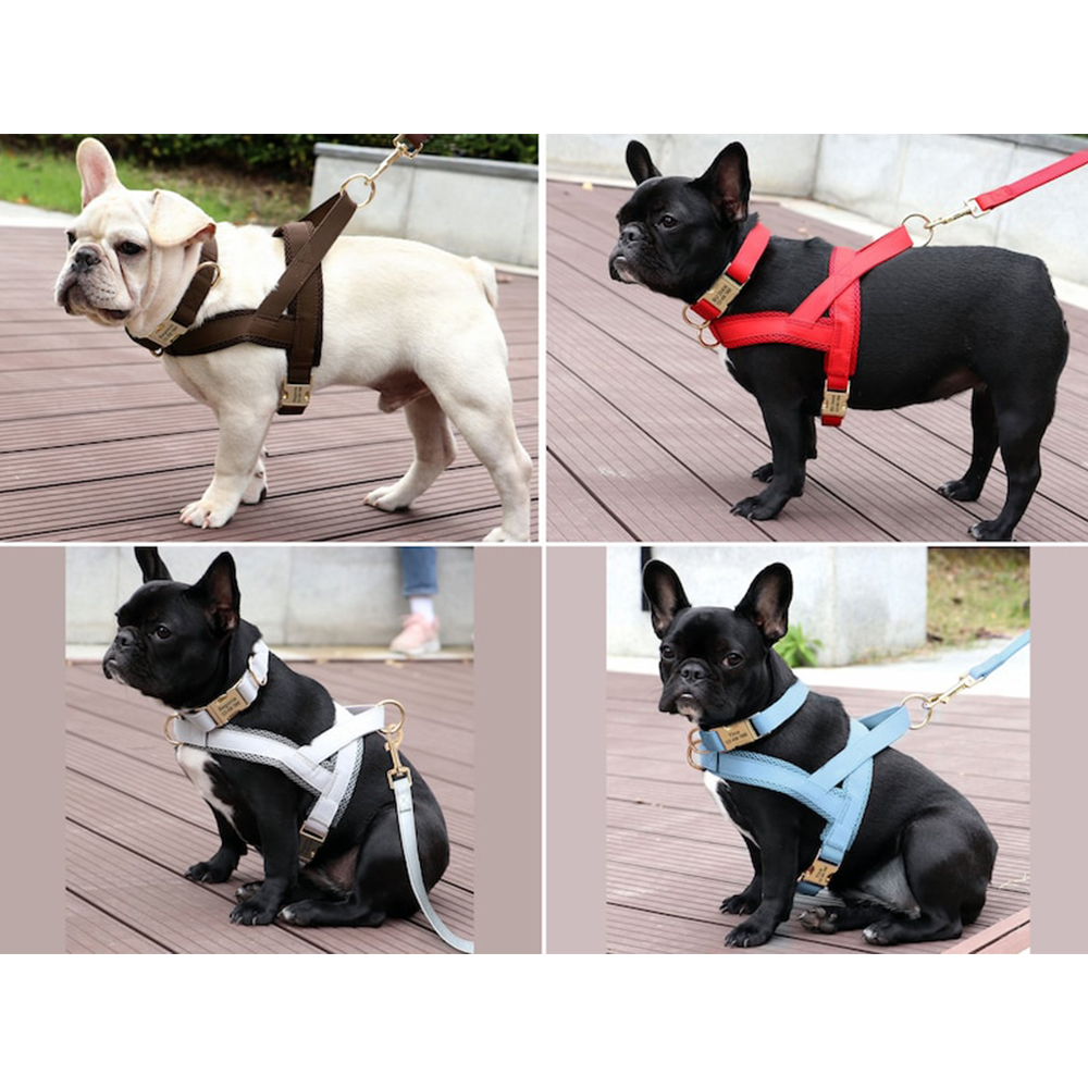 Arnés de cuero para perros personalizado