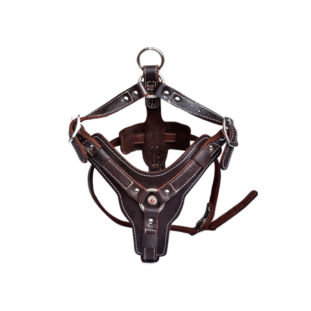 Real Leather Harness with Handle