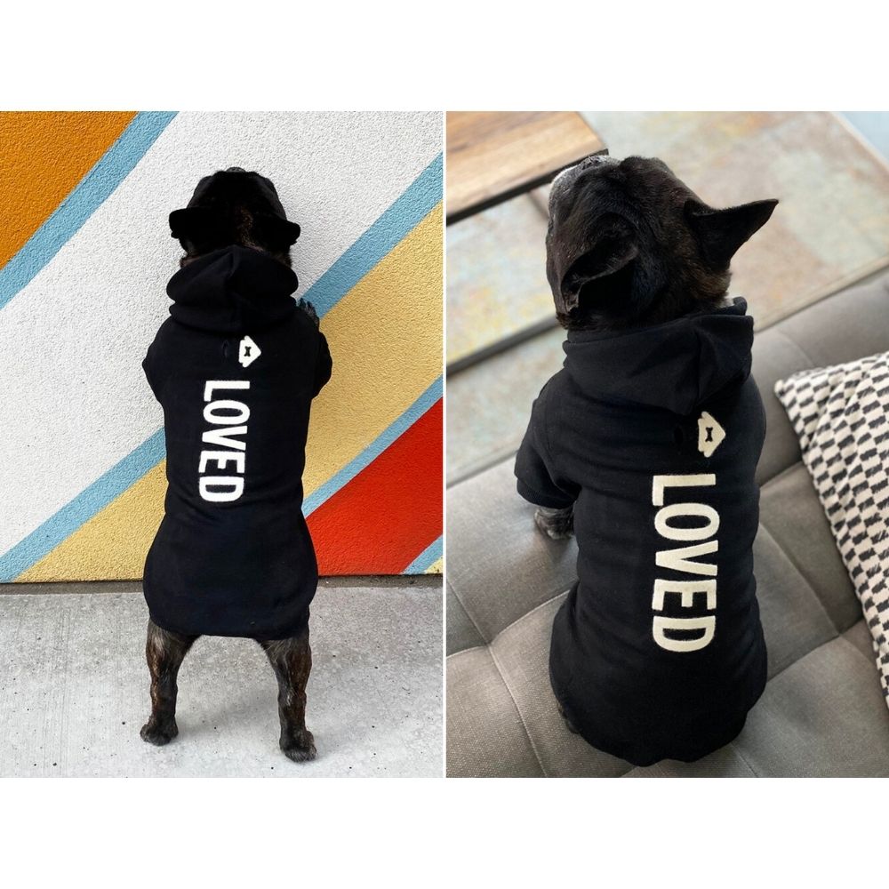 Custom Dog Hoodie