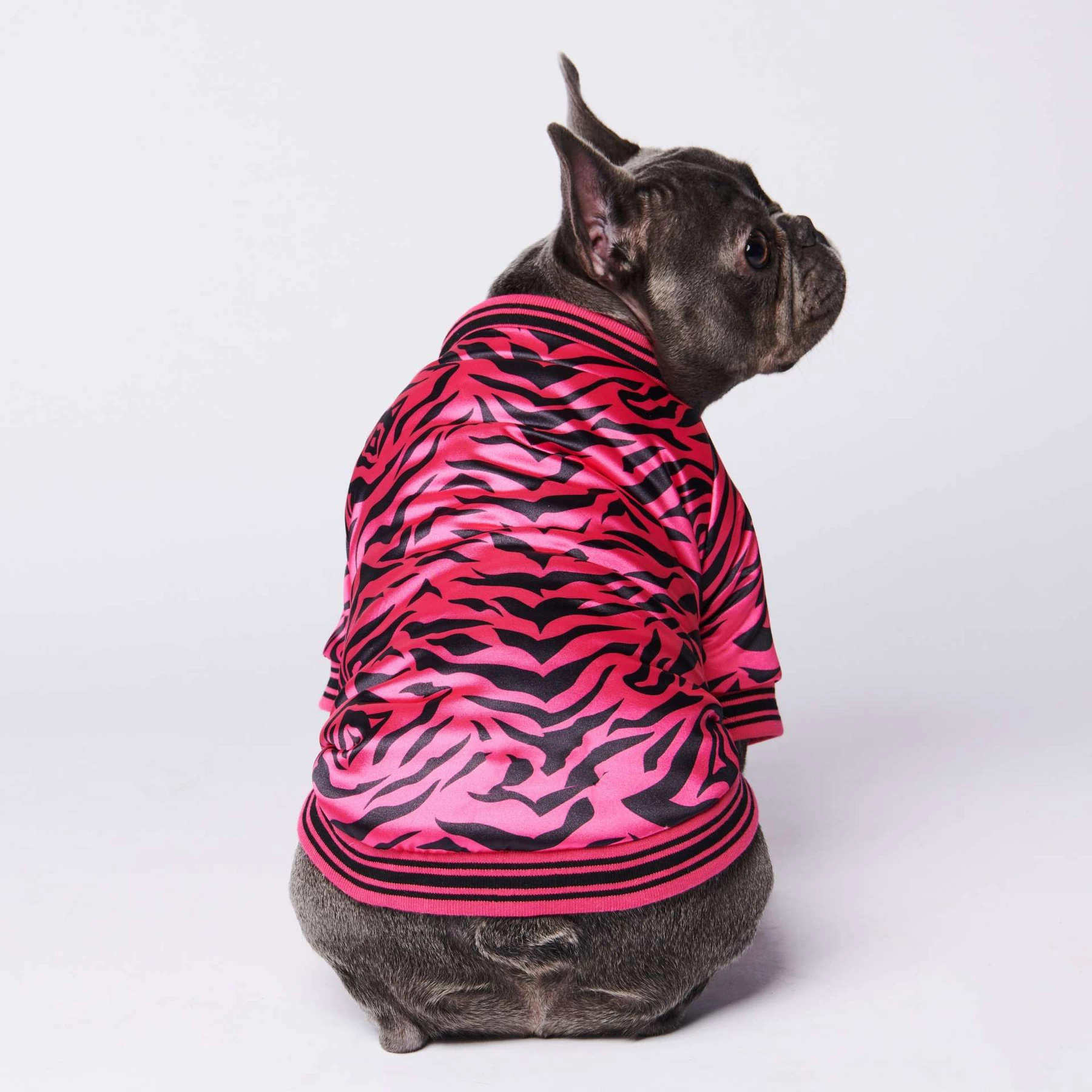 Blouson aviateur zèbre rose