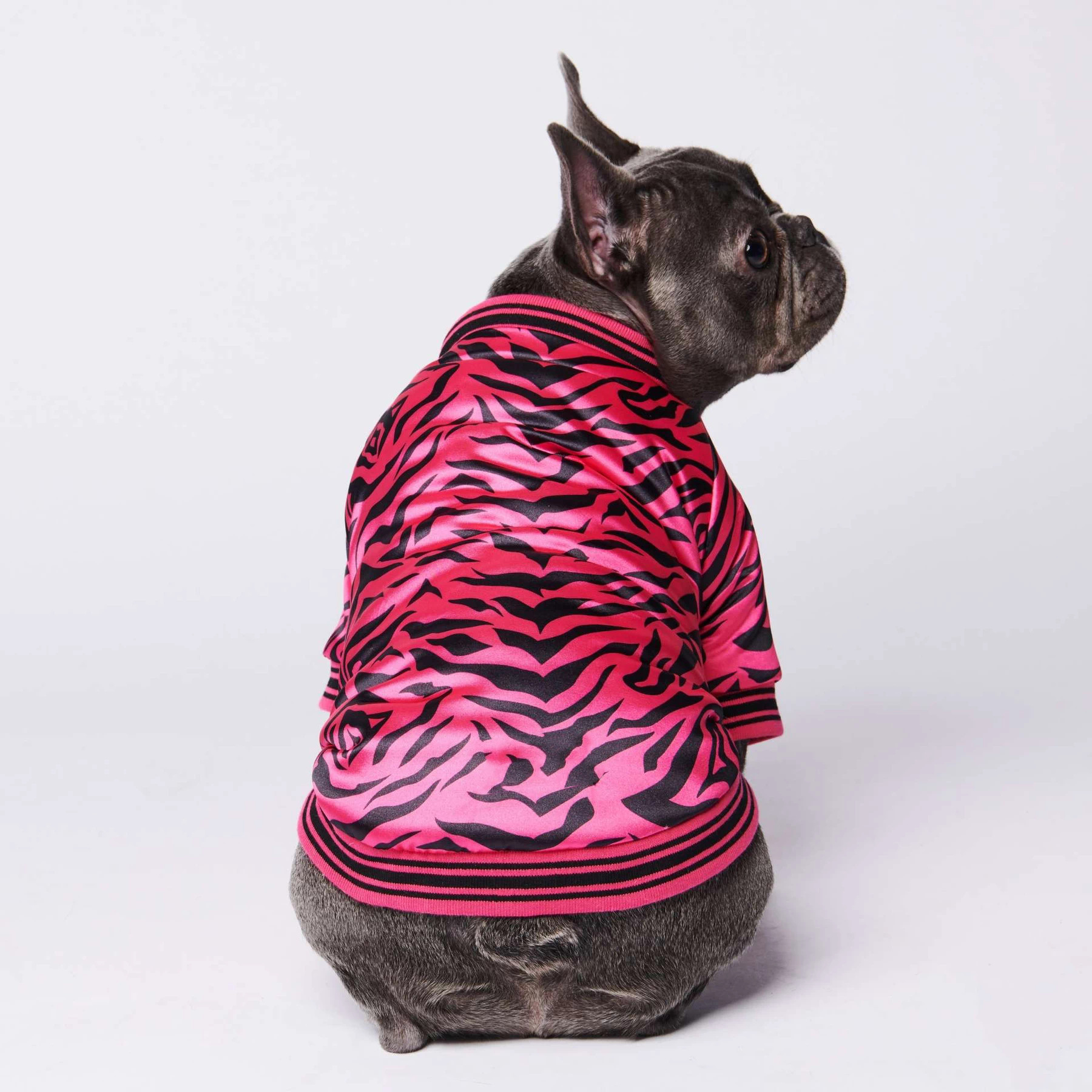 Pink Zebra Bomber Jacket