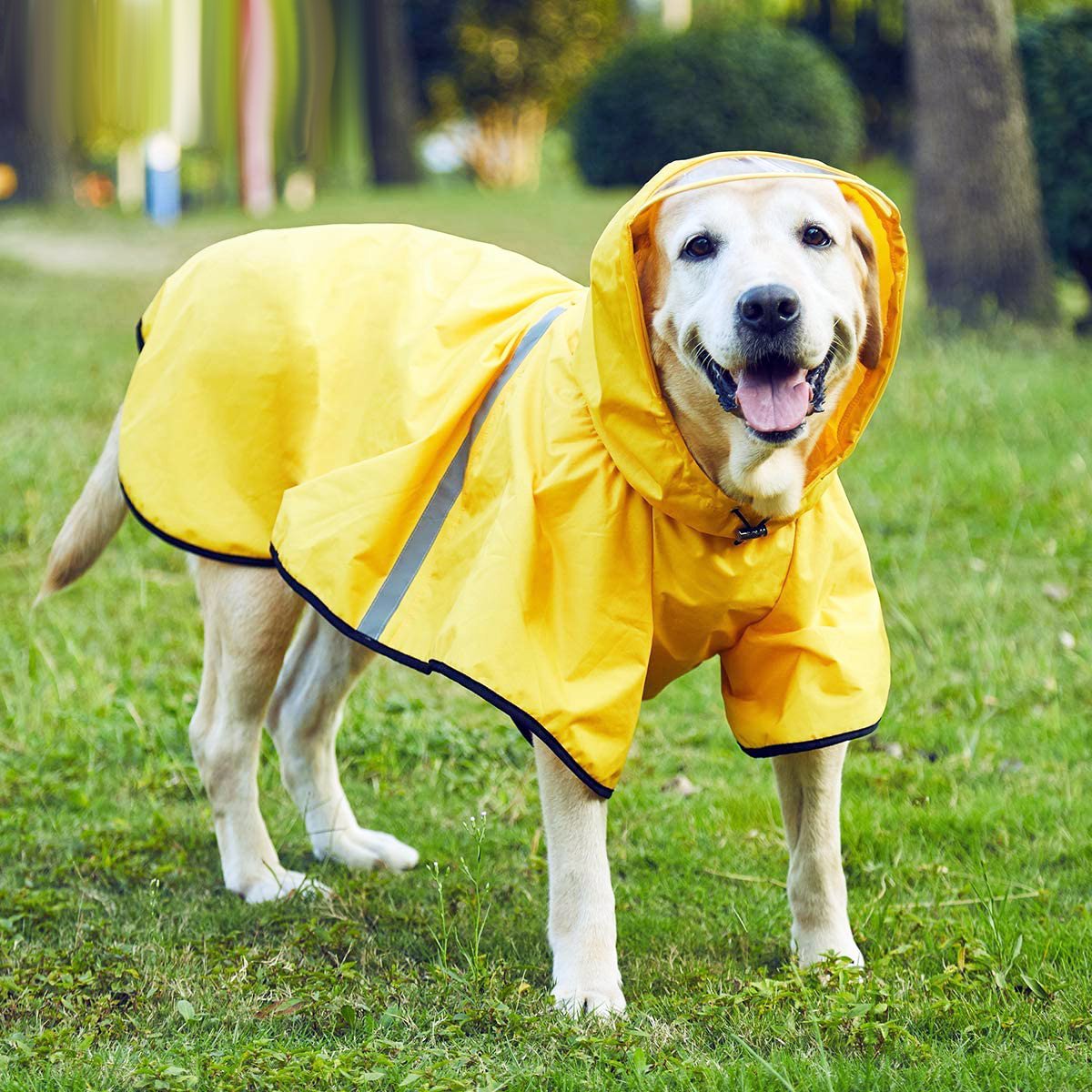 Waterproof Reflective Raincoat