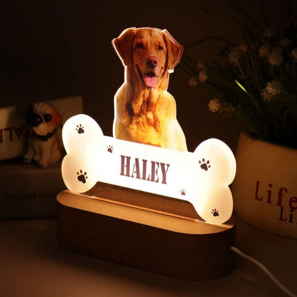 Custom Engraved 3D lamp