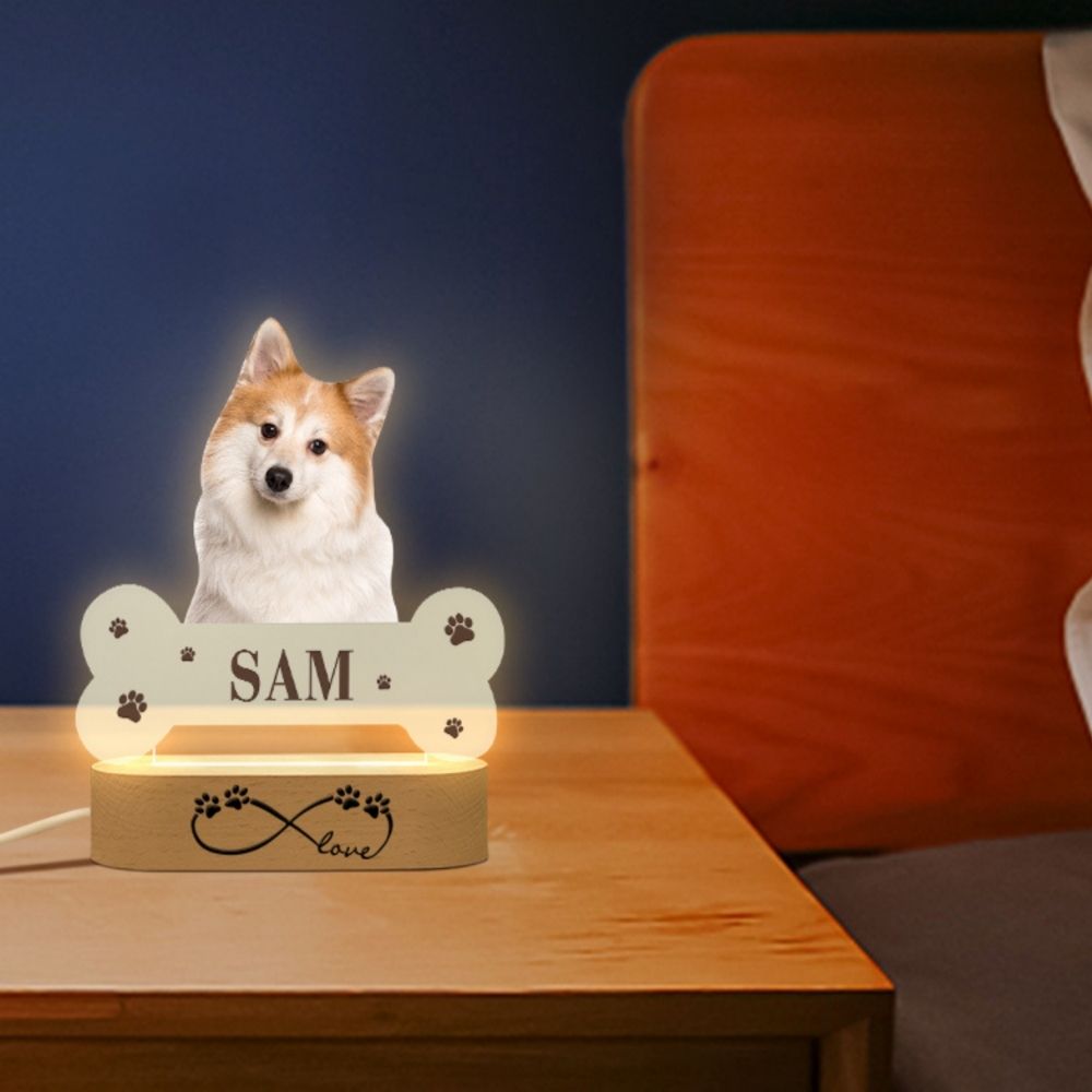 Custom Engraved 3D lamp