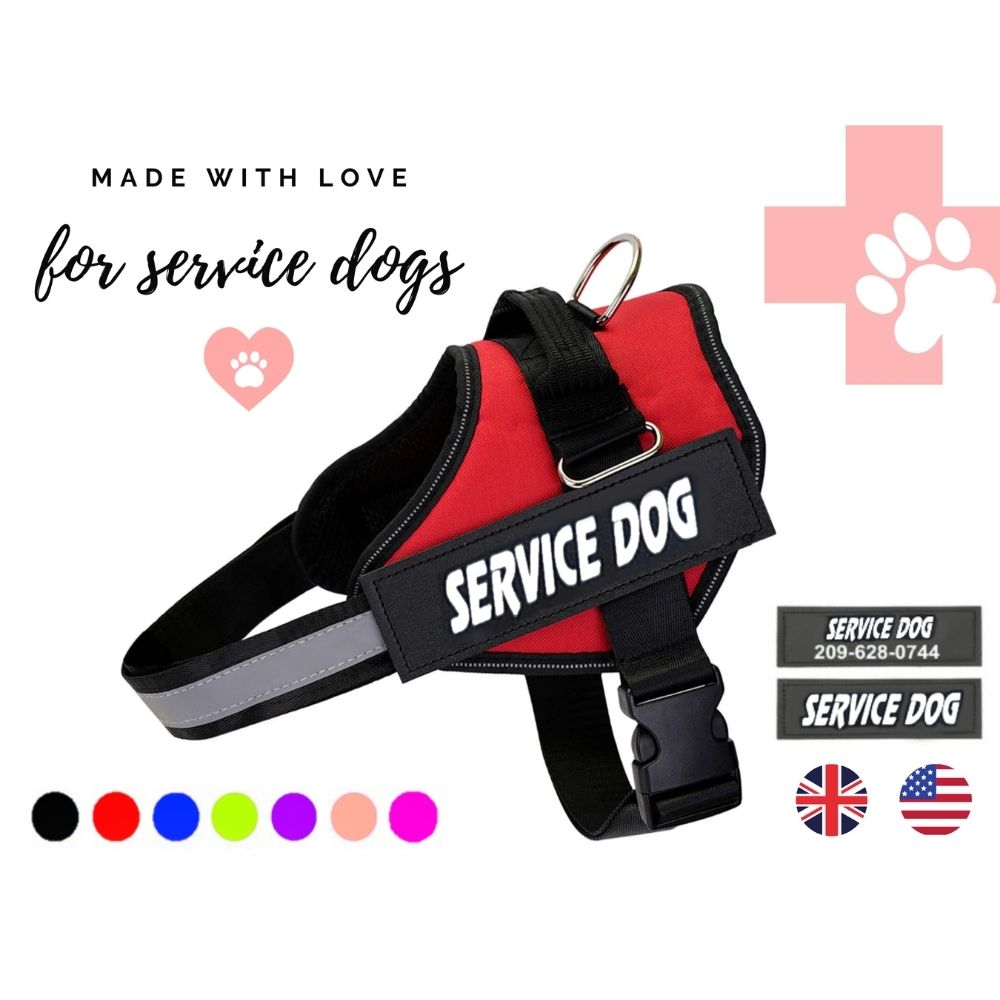 Arnés para perros de servicio personalizado