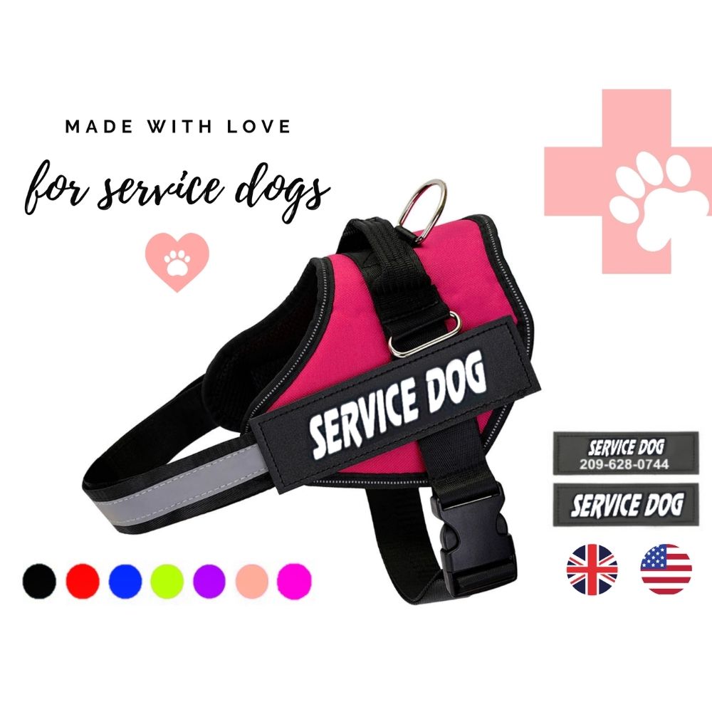 Arnés para perros de servicio personalizado