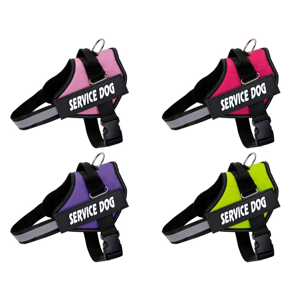 Arnés para perros de servicio personalizado