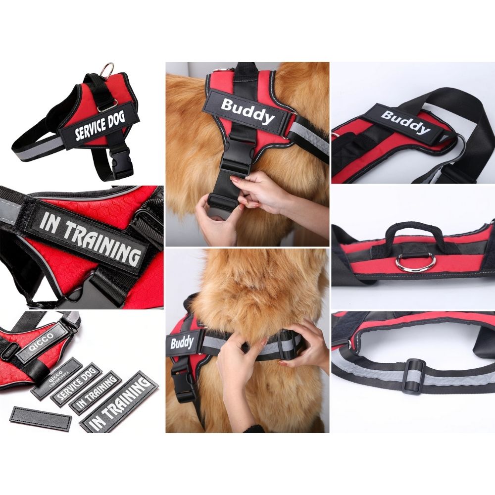 Arnés para perros de servicio personalizado