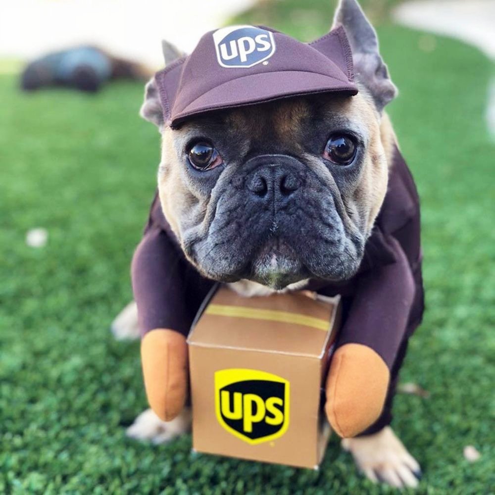 UPS Courier Costume