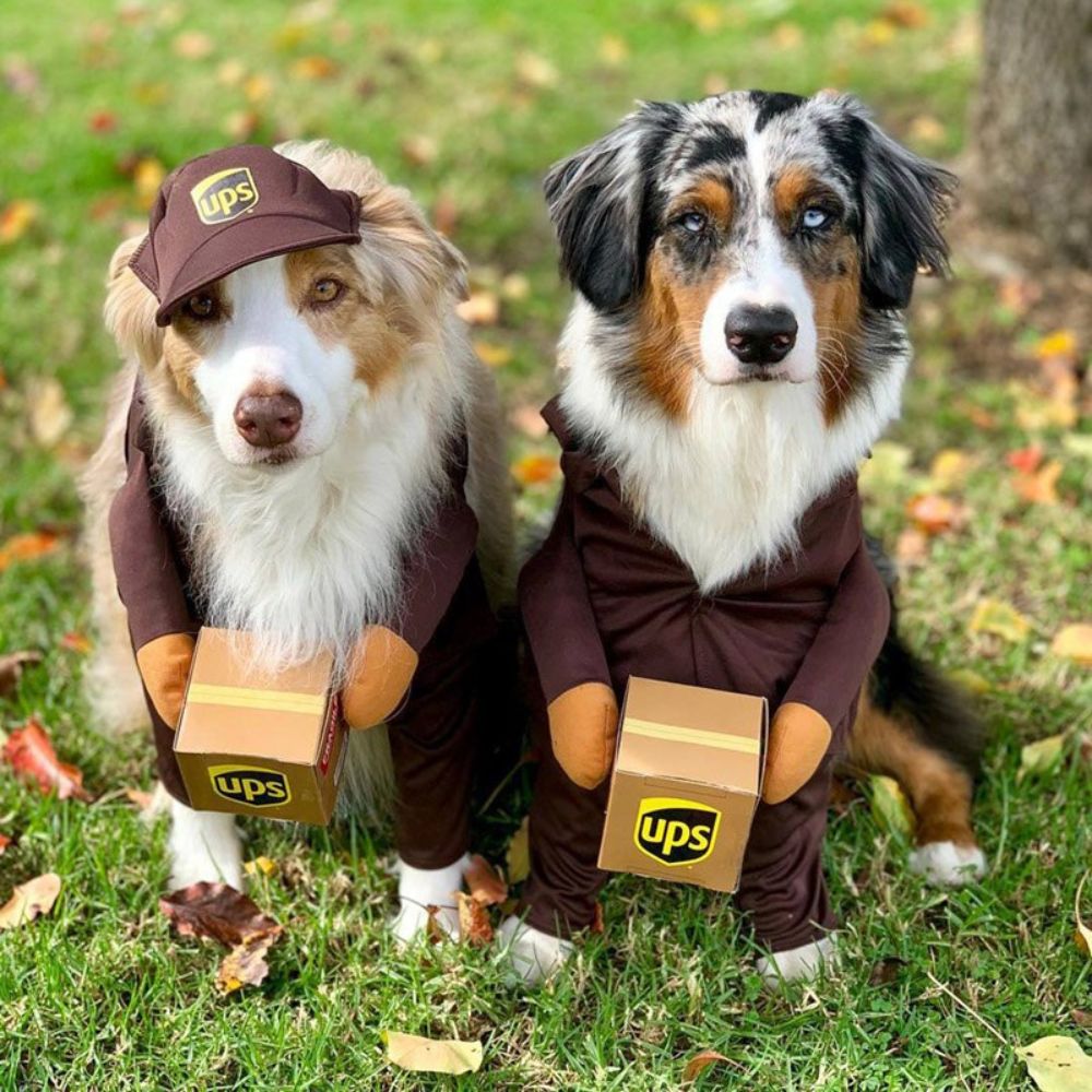 UPS Courier Costume