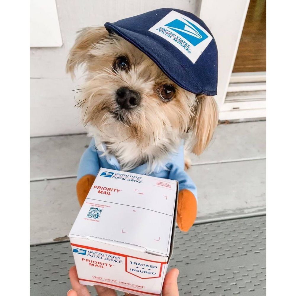 UPS Courier Costume