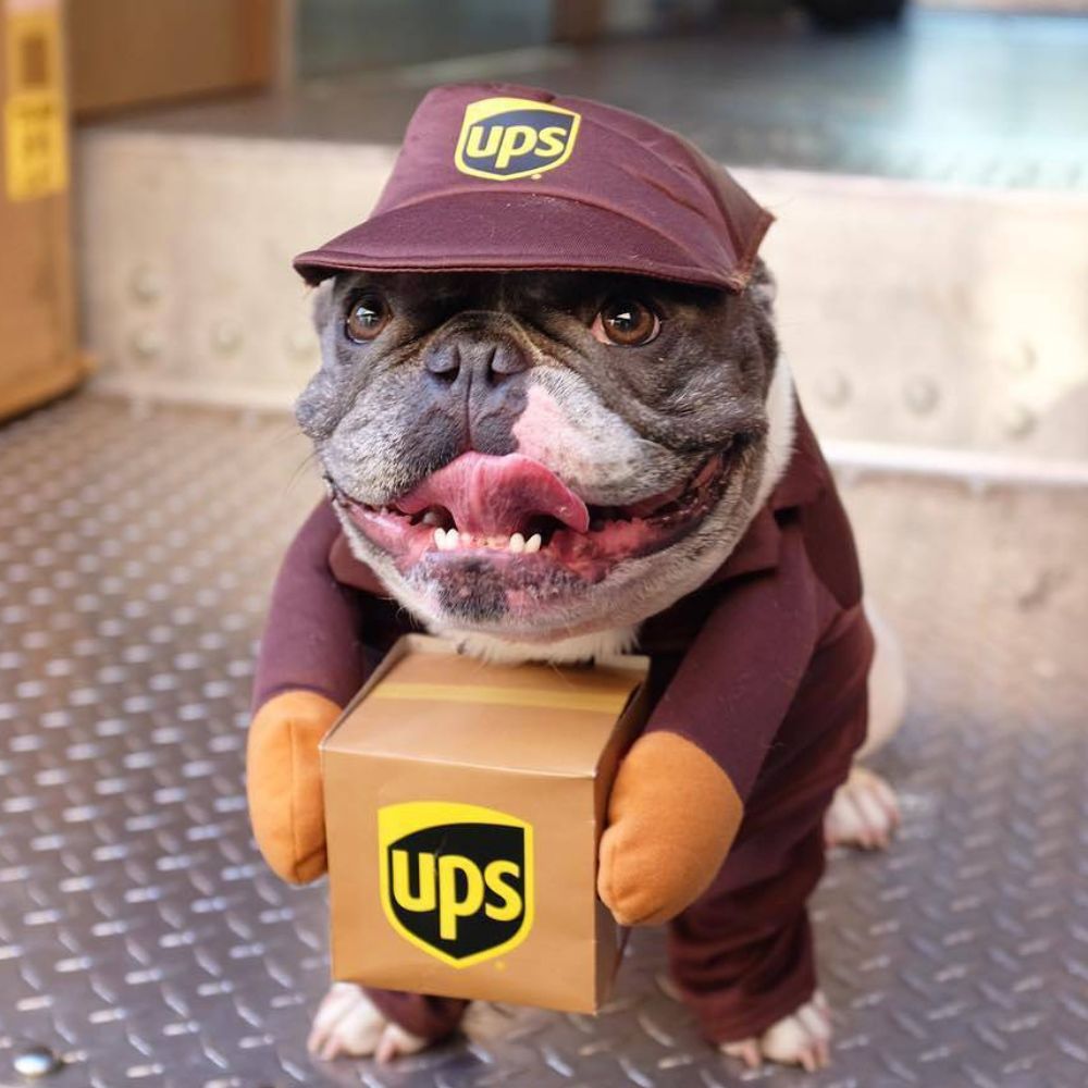 UPS Courier Costume