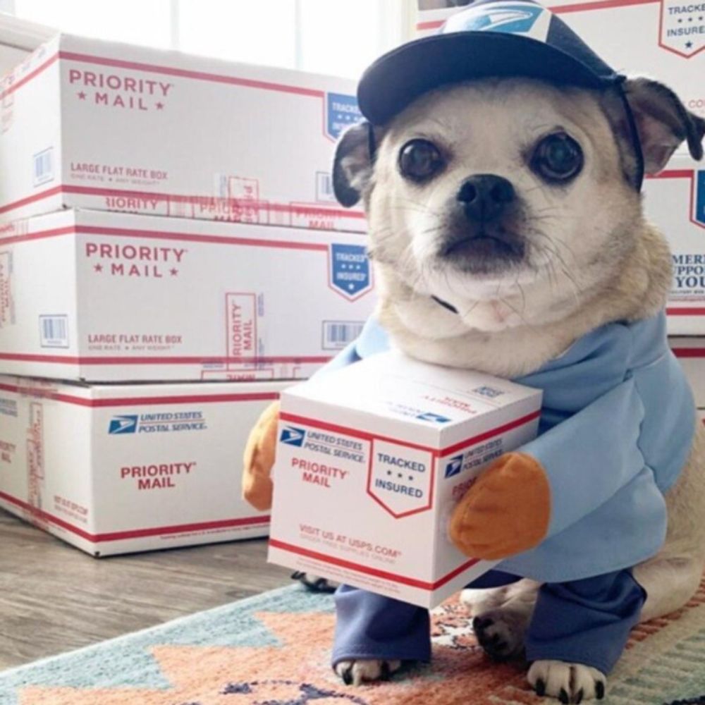 UPS Courier Costume