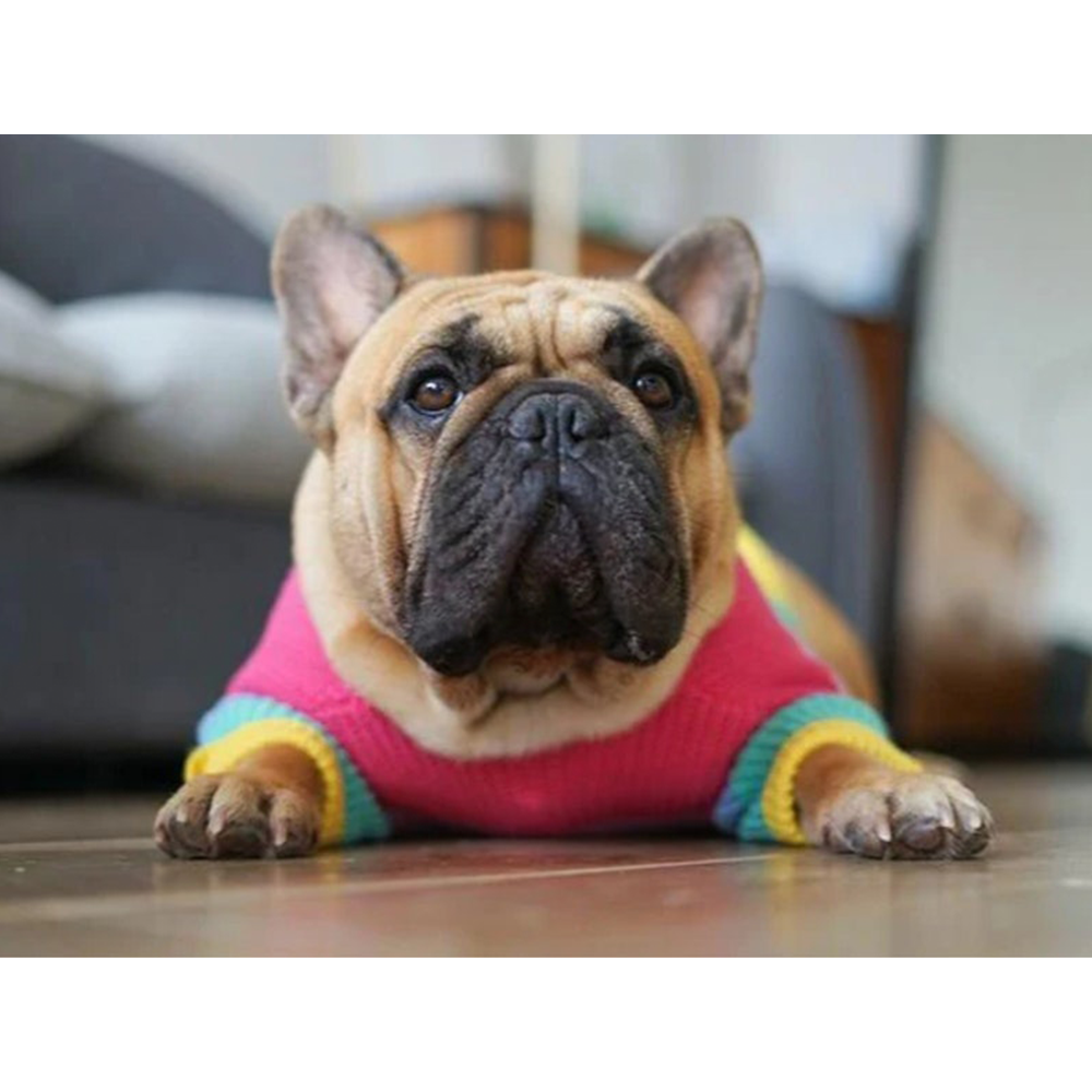 Pull en tricot arc-en-ciel