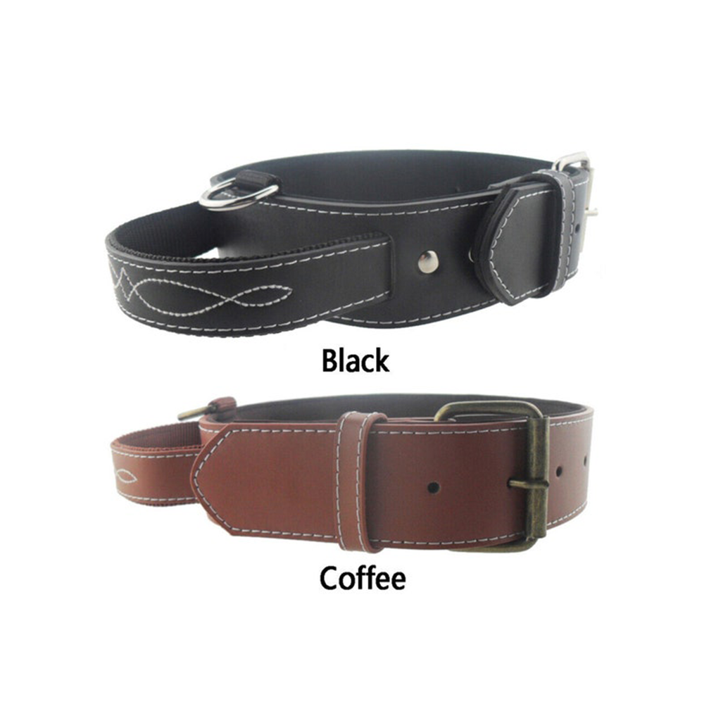 Leather Dog Collar With Handle