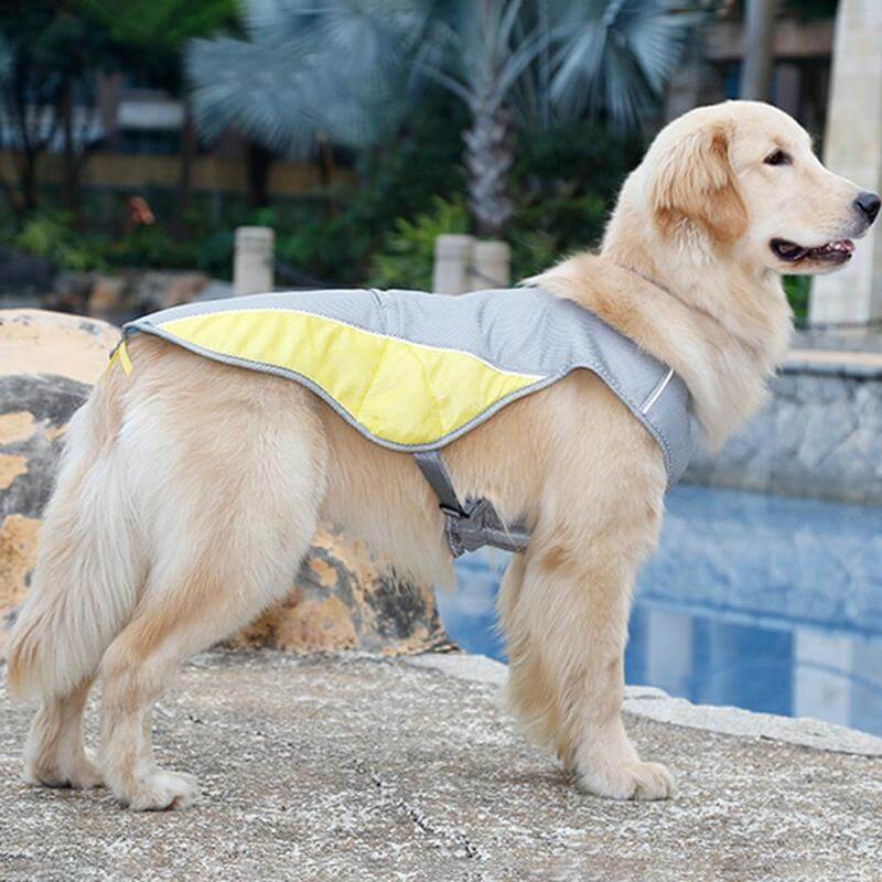Aqua Dog Cooling Vest cooling dog harness Happy Paws Online 