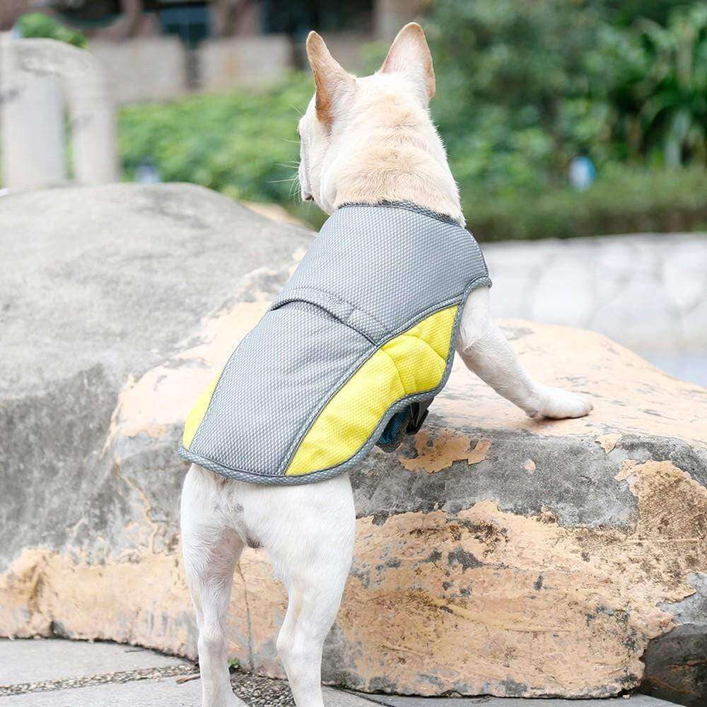 Aqua Dog Cooling Vest cooling dog harness Happy Paws Online 