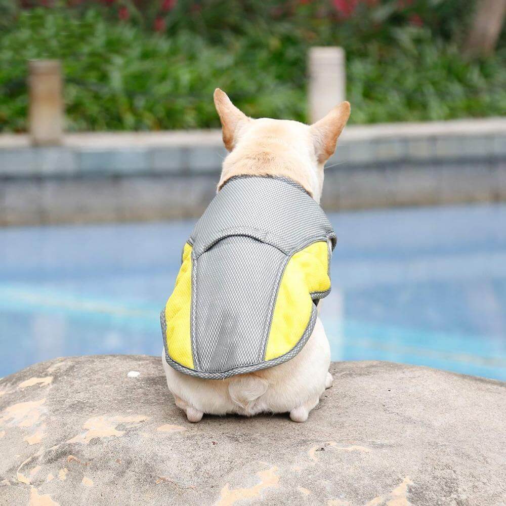 Aqua Dog Cooling Vest cooling dog harness Happy Paws Online 
