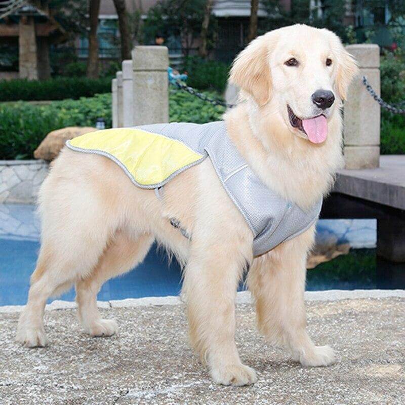 Aqua Dog Cooling Vest cooling dog harness Happy Paws Online 