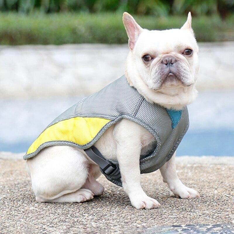 Aqua Dog Cooling Vest cooling dog harness Happy Paws Online 