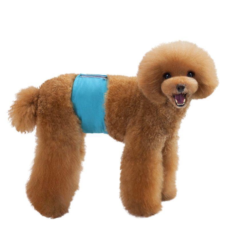 Belly Band Underwear Dog Underwear Happy Paws 