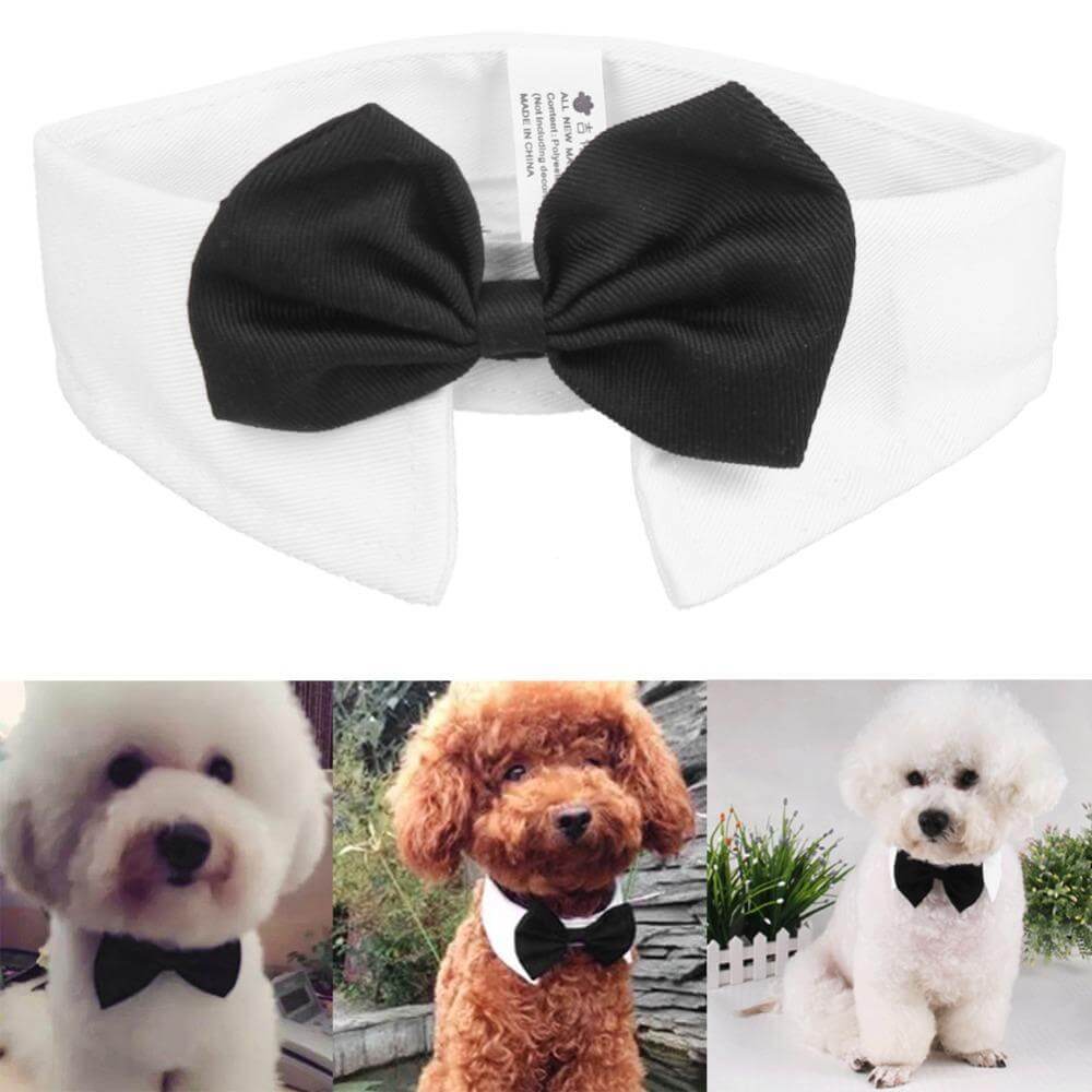 Black Bow Tie & Collar Dog Bow Tie Happy Paws 
