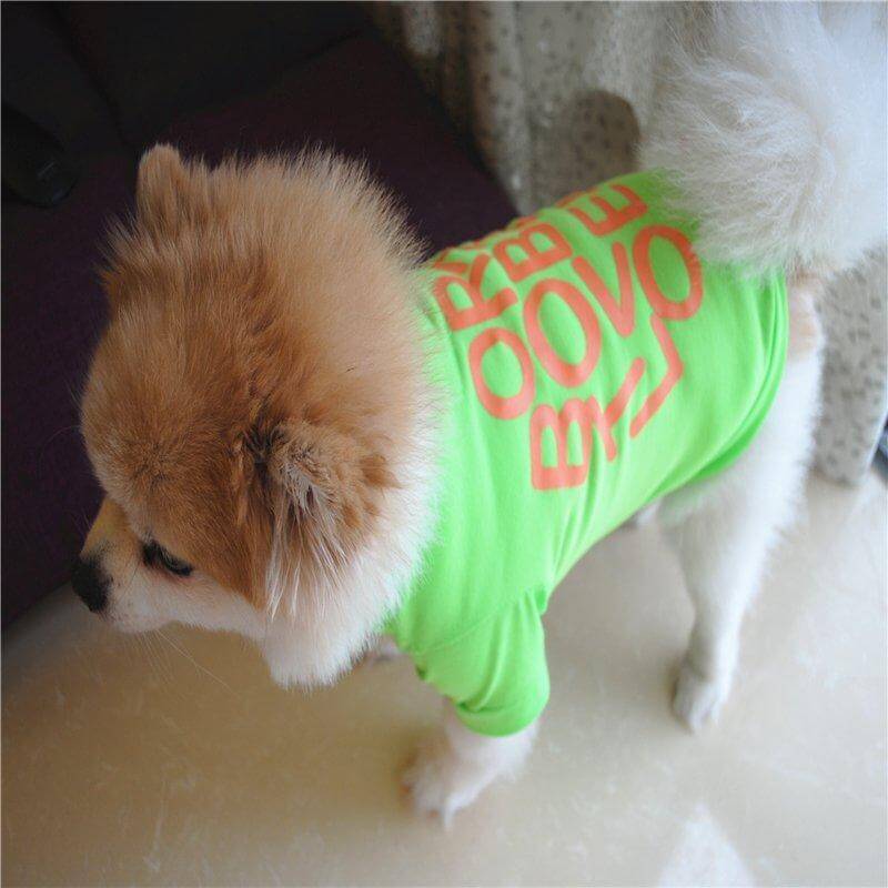 'Born To Be Loved' Dog Vest Happy Paws 