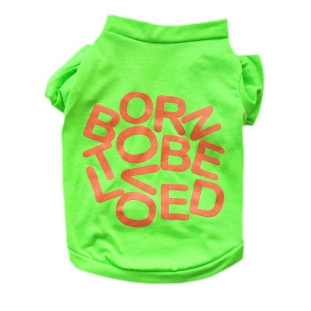 'Born To Be Loved' Dog Vest Happy Paws Green Large 