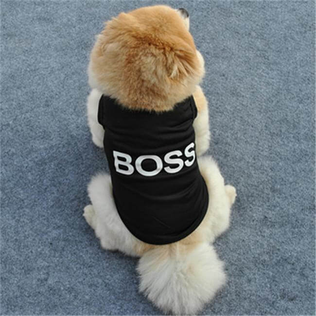 Boss Dog Vest Dog Vest Happy Paws 