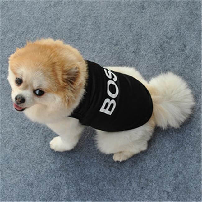 Boss Dog Vest Dog Vest Happy Paws 