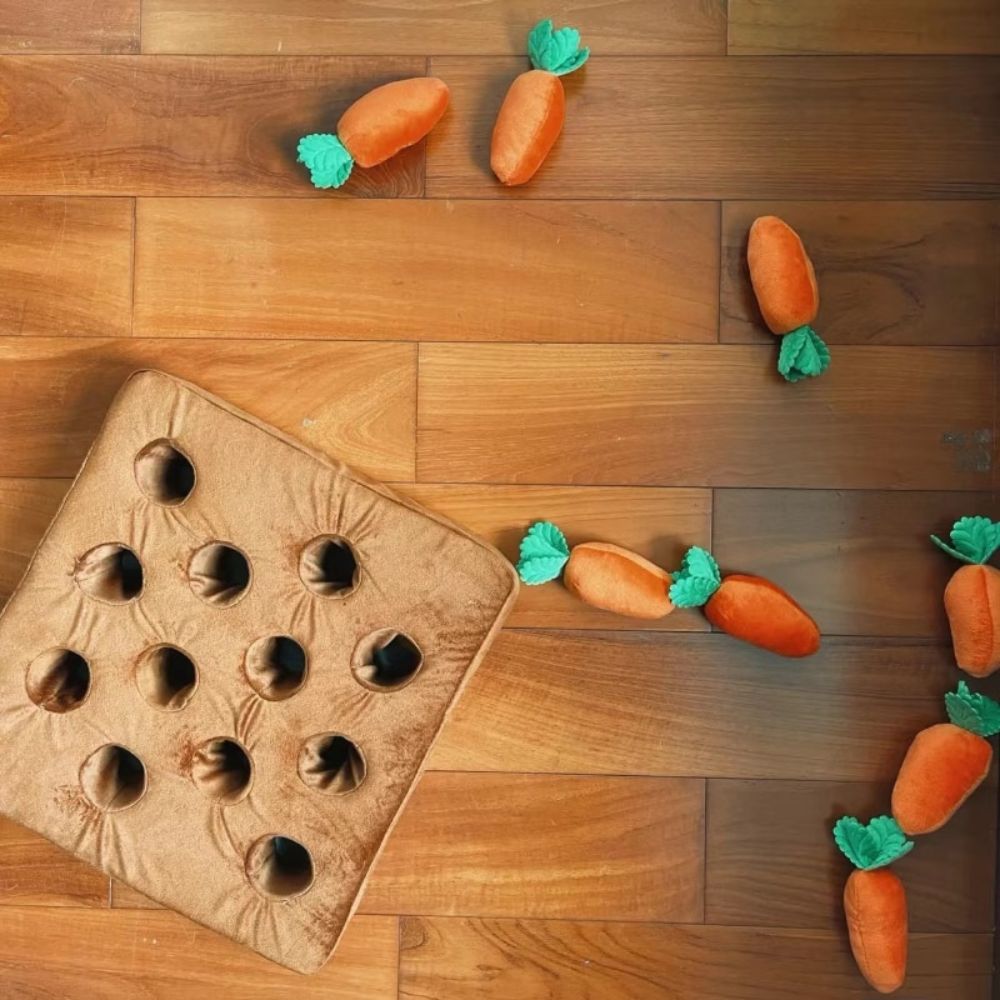 Carrots Treats Puzzle