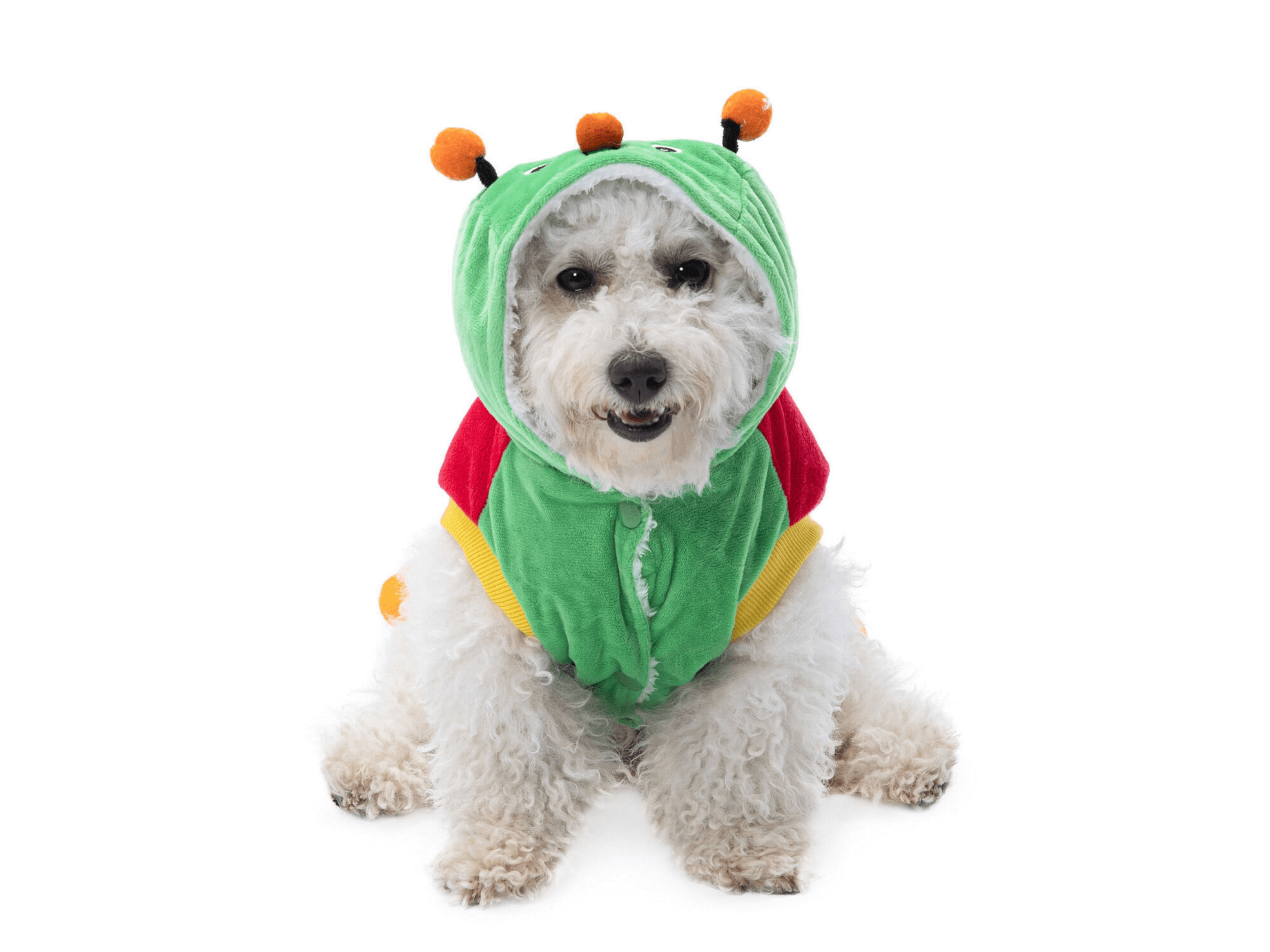 Caterpillar Costume Dog Apparel Happy Paws Online 