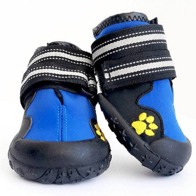 Comfy Sports Sneakers Dog Boots Happy Paws Blue 4 