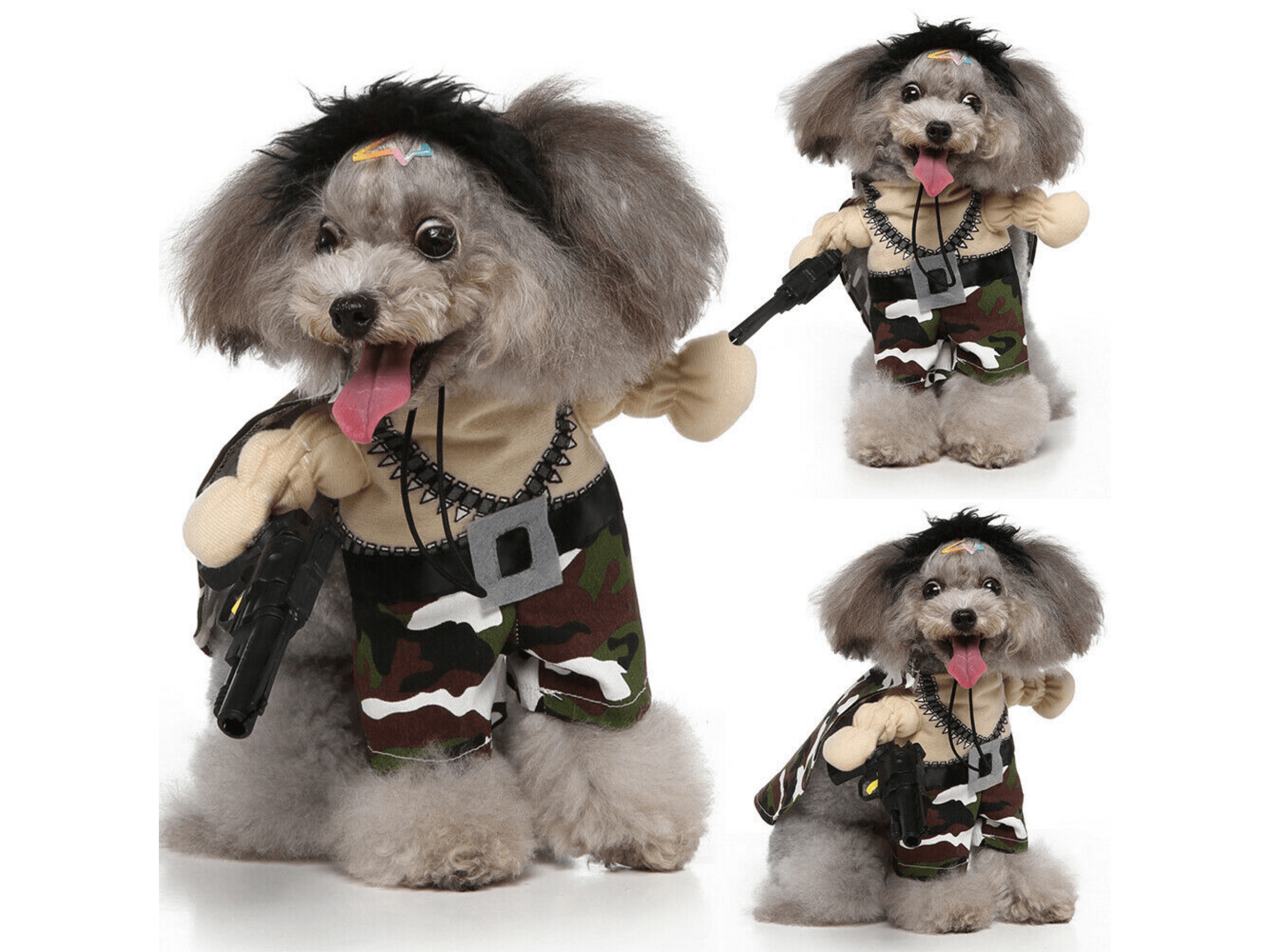 Commando Costume Dog Apparel Happy Paws Online 