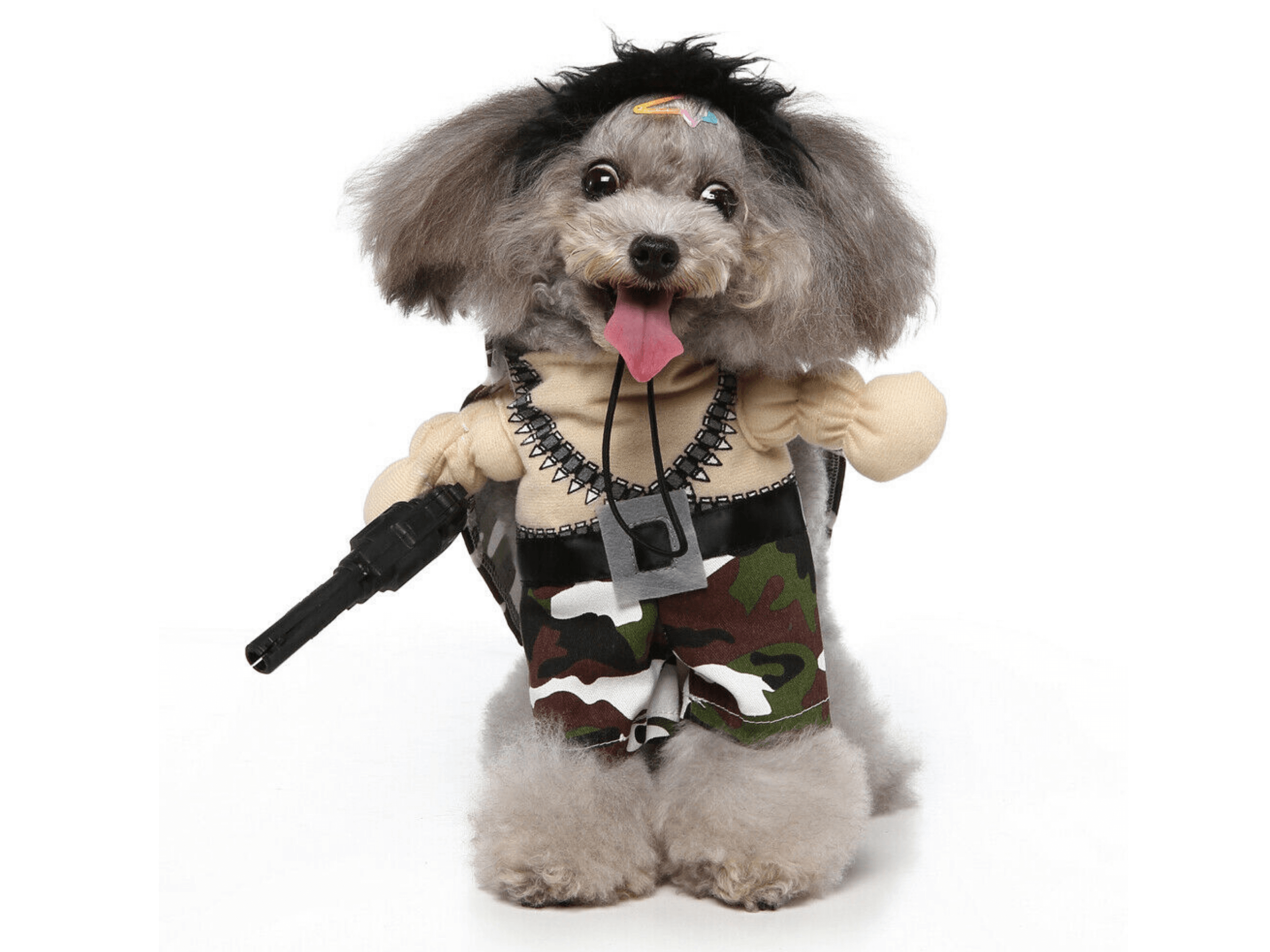 Commando Costume Dog Apparel Happy Paws Online 