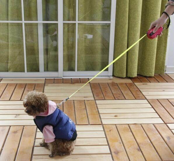 Compact Handy Leash dog leash Happy Paws 