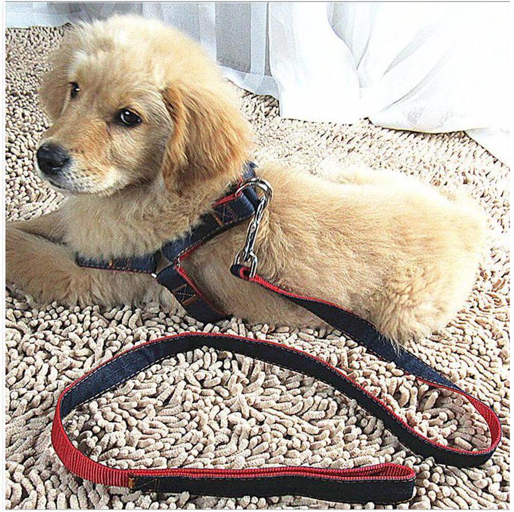 Denim Harness & Leash Set harness & lead Happy Paws 