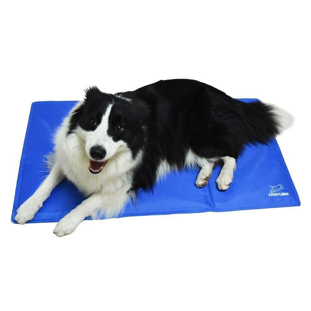 Dog Cooling Mat Dog Cooling Mat Happy Paws 